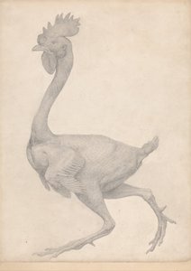 Vergelijkende anatomische expositie van de structuur van het menselijk lichaam met dat van een tijger en een koe